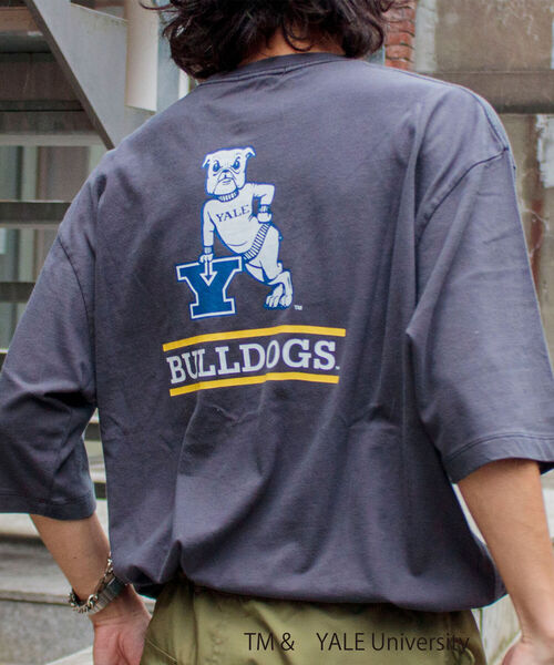 GLOSTER(グロスター)の「【YALE/イェール】別注プリントTシャツ VINTAGE DYEING カレッジロゴ(Tシャツ/カットソー・メンズ・チャコールグレー/ネイビー/オフホワイト・M/L)」の7枚目の写真