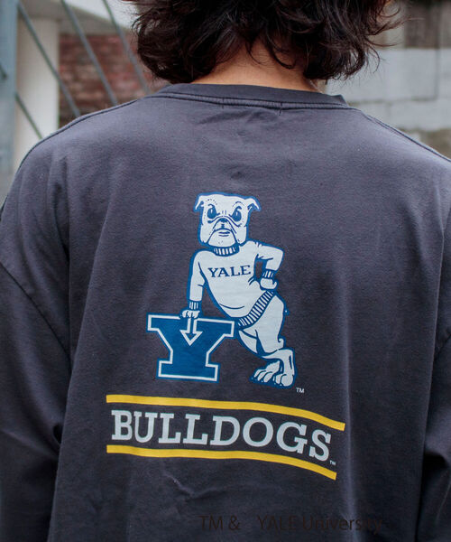 GLOSTER(グロスター)の「【YALE/イェール】別注プリントTシャツ VINTAGE DYEING カレッジロゴ(Tシャツ/カットソー・メンズ・チャコールグレー/ネイビー/オフホワイト・M/L)」の8枚目の写真
