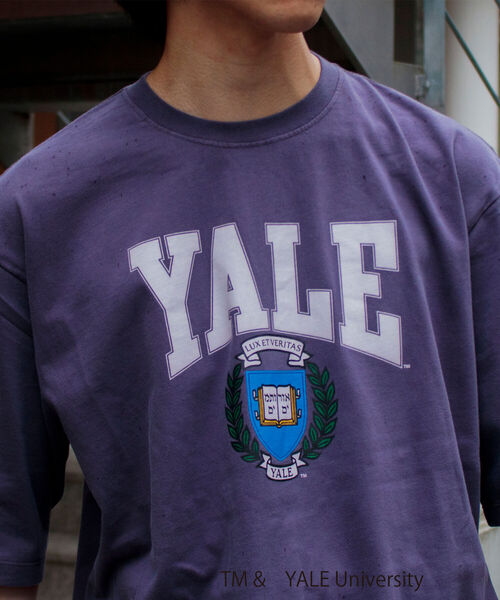 GLOSTER(グロスター)の「【YALE/イェール】別注プリントTシャツ VINTAGE DYEING カレッジロゴ(Tシャツ/カットソー・メンズ・チャコールグレー/ネイビー/オフホワイト・M/L)」の12枚目の写真