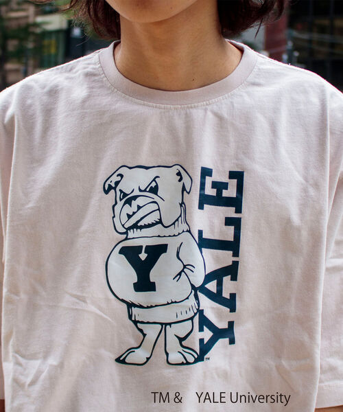 GLOSTER(グロスター)の「【YALE/イェール】別注プリントTシャツ VINTAGE DYEING カレッジロゴ(Tシャツ/カットソー・メンズ・チャコールグレー/ネイビー/オフホワイト・M/L)」の19枚目の写真