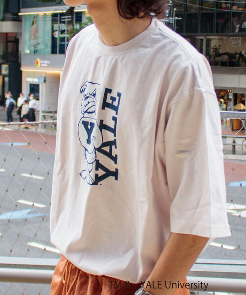 GLOSTER(グロスター)の「【YALE/イェール】別注プリントTシャツ VINTAGE DYEING カレッジロゴ(Tシャツ/カットソー・メンズ・チャコールグレー/ネイビー/オフホワイト・M/L)」の20枚目の写真