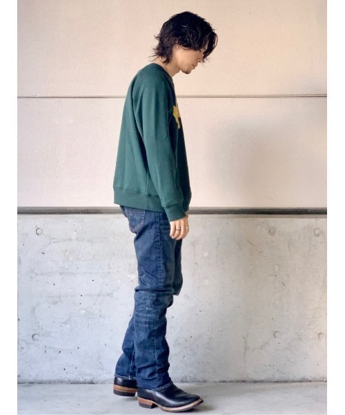 BACK NUMBER(バックナンバー)の「【BACK NUMBER】裏シャギープリントクルー(スウェット・メンズ・グリーン/イエロー/オフホワイト・L/M/S/XL)」の21枚目の写真