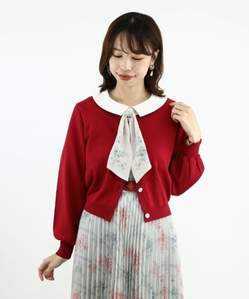 an another angelus(アンアナザーアンジェラス)の「アイビーローズスカーフタイ付きブラウス(シャツ/ブラウス・レディース・オフホワイト/アイボリー・FREE)」の10枚目の写真