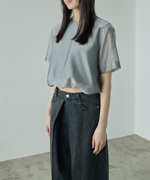 LE CIEL BLEU(ルシェルブルー)の「オーガンザトップ / Organza Top(Tシャツ/カットソー・レディース・オフホワイト/グレー/ブラック・36)」の22枚目の写真