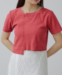 ピグメント切替刺繍Tシャツ