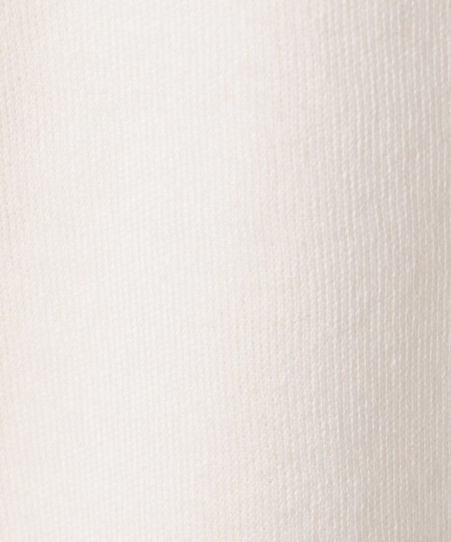 caban(キャバン)の「コットンカシミヤ パールポロプルオーバー(ニット/セーター・レディース・グレー/ホワイト/イエロー/ネイビー・FREE)」の17枚目の写真