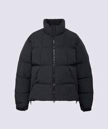 GOLDWIN（ゴールドウィン）の「GOLDWIN HOODED SPUR GORE-TEX DOWN