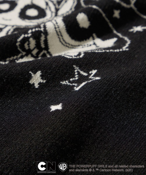 ADPOSION（アドポーション）の「【THE POWERPUFF GIRLS / パワーパフガールズ】ジャガードニット（ニット/セーター・レディース・ブラック・FREE）」の7枚目の写真