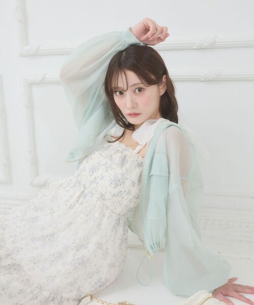MAJESTIC LEGON(マジェスティックレゴン)の「エアリーシアーフードブルゾン(シャツ/ブラウス・レディース・ピンク/グリーン/グレー/アイボリー/ブラック・MEDIUM)」の19枚目の写真