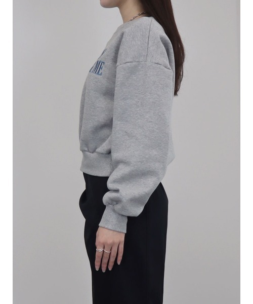 Reurie'(レウリィ)の「フロントロゴスウェット / 長袖 クルーネック パーカー プルオーバー カレッジロゴ風 英字 刺繍 カジュアル ベーシック 配色デザイン(スウェット・レディース・ネイビー/アイボリー/ライトグレー・FREE)」の14枚目の写真