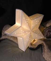 DULTON(_g)PORCELAIN STAR LIGHT/|[Z X^[ Cg(Ɩ)