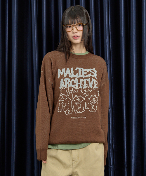 WaiKei(ワイケイ)の「マルチーズアーカイブライングラフィックニットVer.2ブラウン(ニット/セーター・レディース・その他・1/2)」の4枚目の写真