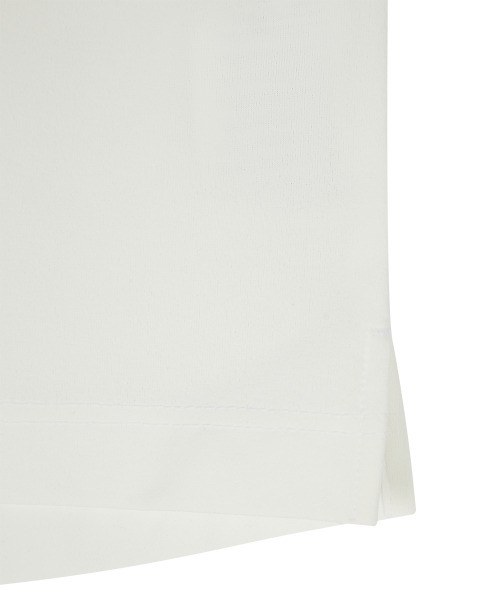 HOLUBAR(ホルバー)の「Flatirons Logo T Shirt White(Tシャツ/カットソー・メンズ・その他・LARGE/X-LARGE)」の6枚目の写真