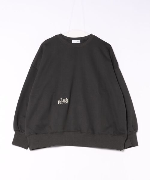 ANAP(アナップ)の「LushロゴBIGプルオーバー(その他トップス・レディース・ブラック/ピンク/グレー/オフホワイト・F)」の2枚目の写真