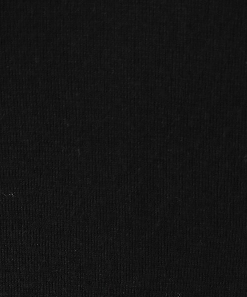 DRESSTERIOR(ドレステリア)の「ファーカラーニットワンピース(ワンピース・レディース・ブラック/グレー系その他・36/38)」の17枚目の写真