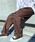 DickiesifBbL[Yj́uDickies/fBbL[Y THE ORIGINAL FIT 874 TCcC[Npc/`mp XP[gpc/Xg[gChpc @14562800i`mpcjvbuE