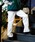 DickiesifBbL[Yj́uDickies/fBbL[Y THE ORIGINAL FIT 874 TCcC[Npc/`mp XP[gpc/Xg[gChpc @14562800i`mpcjvbzCg