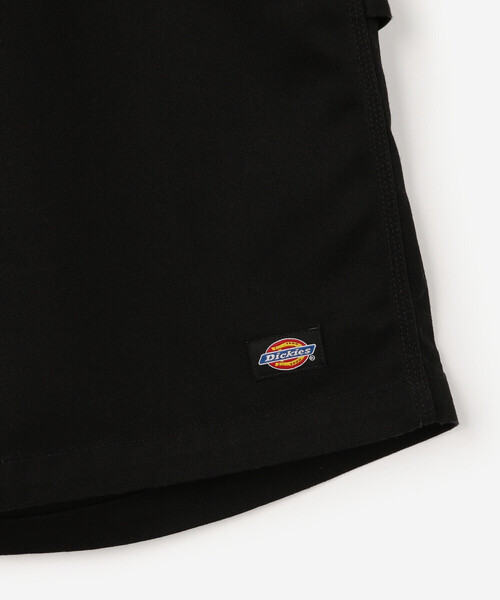 SEDAN ALL-PURPOSE | Dickies / Carpenter Wide Shorts MEN