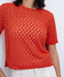 LANVIN en Bleu | シアーレースカットソー(Tシャツ/カットソー)