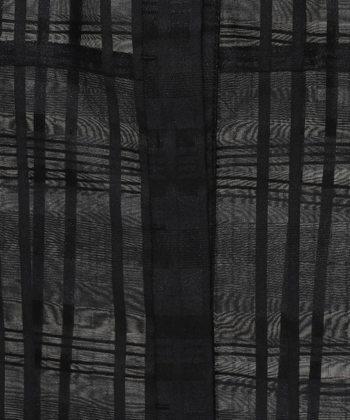 mysty woman（ミスティウーマン）の「シアーチェックブラウス 581422（シャツ/ブラウス・レディース・オフホワイト/ライトブルー/ブラック・FREE）」の18枚目の写真