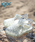 IENA ENFANT�i�C�G�i�A���t�@���j�́u�yigor/�C�S�[���zClasica Cristal sandals baby-kids(13cm-21cm)�i�T���_���j�v�b�V���o�[