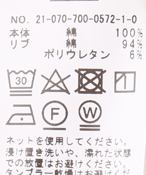 Simplicite（サンプリシテ）の「60/テンジクサイドドットロンTee（Tシャツ/カットソー・レディース・ホワイト/チャコールグレー/アイボリー・FREE）」の21枚目の写真