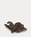 RRL�i�_�u�� �A�[�� �G���j�́u�C�[�O�� �u���X �g���[�i�C���e���A�G�݁j�v�b�u���E��