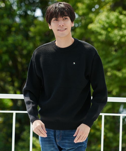 Arnold Palmer(アーノルドパーマー)の「シェア PBT ミラノリブ ニットプルオーバー(ニット/セーター・レディース・オートミール/ダークブルー/レッド/ブラウン/ライム/ブラック・XS/S/M/L/LL)」の2枚目の写真