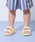 petit mainiveB}Cj́uyWEBJ[zyGOODPRICEzEVAT_iT_jvbCG[