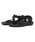 Tevaieoj́uHURRICANE TERRA DACTYL@1169430iT_jvbubN
