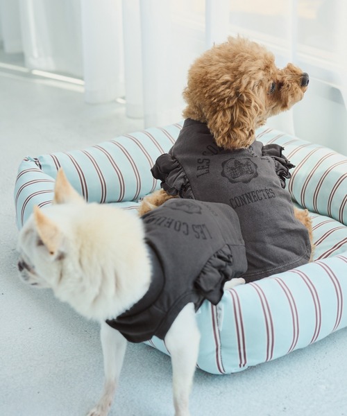 セール】SP Dog Mesh Jacket 犬服 ドッグウェア（ペットウェア）｜Snow