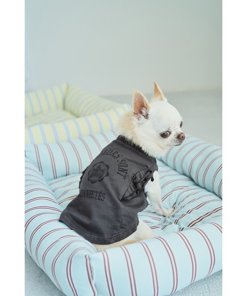 セール】【DOG】カレッジロゴプリントピグメントTシャツ/リンクコーデ