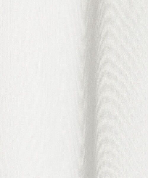 A DAY IN THE LIFE UNITED ARROWS(アデイインザライフユナイテッドアローズ)の「ドッグ エンブロイダリー リラックス カットソー<A DAY IN THE LIFE>(Tシャツ/カットソー・メンズ・その他1/その他2/その他3・L/M)」の17枚目の写真