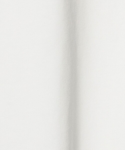 A DAY IN THE LIFE UNITED ARROWS(アデイインザライフユナイテッドアローズ)の「ドッグ エンブロイダリー リラックス カットソー<A DAY IN THE LIFE>(Tシャツ/カットソー・メンズ・その他1/その他2/その他3・L/M)」の21枚目の写真