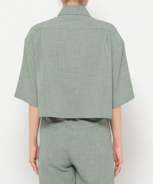 JEANASIS（ジーナシス）の「ドライキャンバスレギュラーシャツSS/952572（シャツ/ブラウス・レディース・ベージュ/ピンク/グリーン/レンガ・FREE）」の16枚目の写真