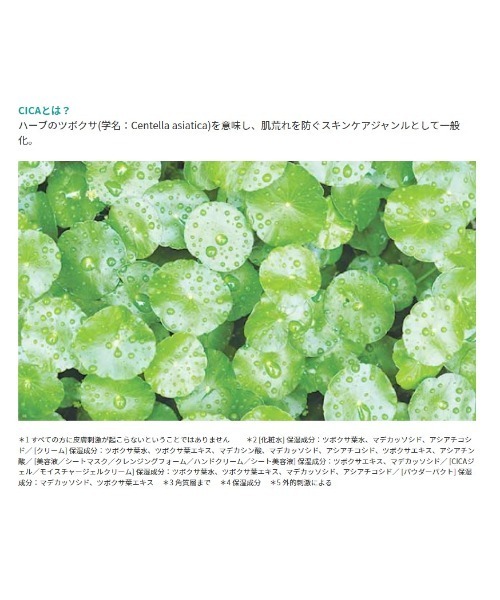 A'pieu(アピュー)の「【A'pieu/アピュー】マデカソ CICA化粧水 トムとジェリーデザイン【数量限定】(化粧水・レディース・その他・FREE)」の13枚目の写真