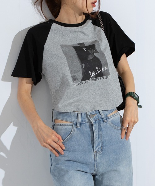 pumpkin port（パンプキンポート）の「転写 クロップド 半袖Tシャツ（Tシャツ/カットソー・レディース・グレー/ホワイト・MEDIUM）」の7枚目の写真