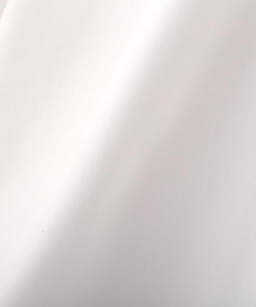 PROPORTION BODY DRESSING（プロポーションボディドレッシング）の「パール取外しシャツ / 1214110106（シャツ/ブラウス・レディース・ホワイト/ブルー・FREE）」の18枚目の写真