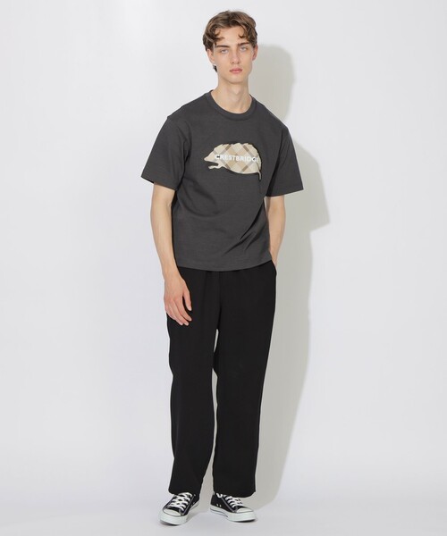 CB CRESTBRIDGE（シービークレストブリッジ）の「ヘッジホッグ 
