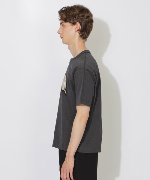 CB CRESTBRIDGE（シービークレストブリッジ）の「ヘッジホッグ 