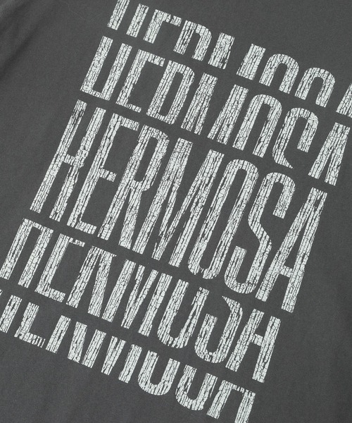 ROSE BUD（ローズバッド）の「【WEB・一部店舗限定】フロントロゴＴシャツ（Tシャツ/カットソー・レディース・グレー/ホワイト/ネイビー・ONE SIZE）」の15枚目の写真