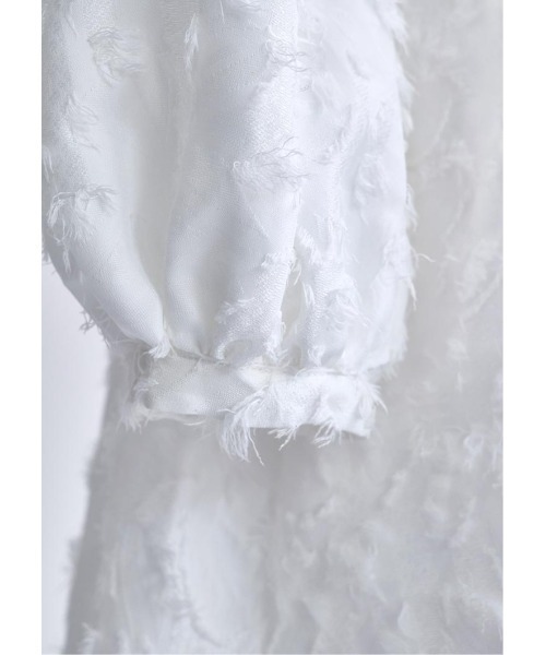 LUDICRUM(ルーディクルム)の「Botanical jacquard dress(ワンピース・レディース・ブラック/ホワイト・S/M)」の11枚目の写真