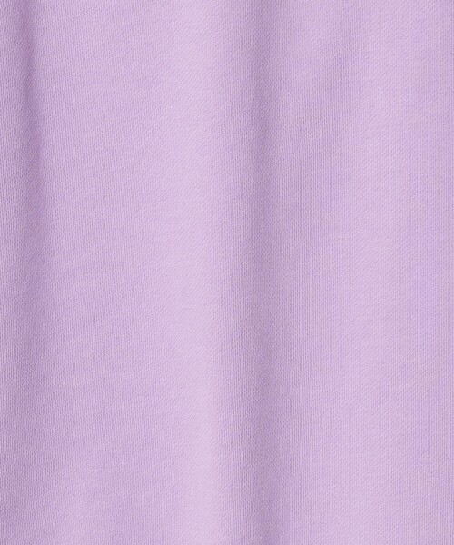 BEAUTY&YOUTH UNITED ARROWS(ビューティーアンドユースユナイテッドアローズ)の「コットン裏毛 ロゴスウェット プルオーバー(スウェット・レディース・ライトグレー/ダークグレー/ライラック・FREE)」の6枚目の写真