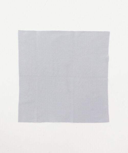 Ray BEAMS(レイビームス)の「noeyedia / アイウェア クロス(その他小物・レディース・シルバー・ONE SIZE)」の6枚目の写真