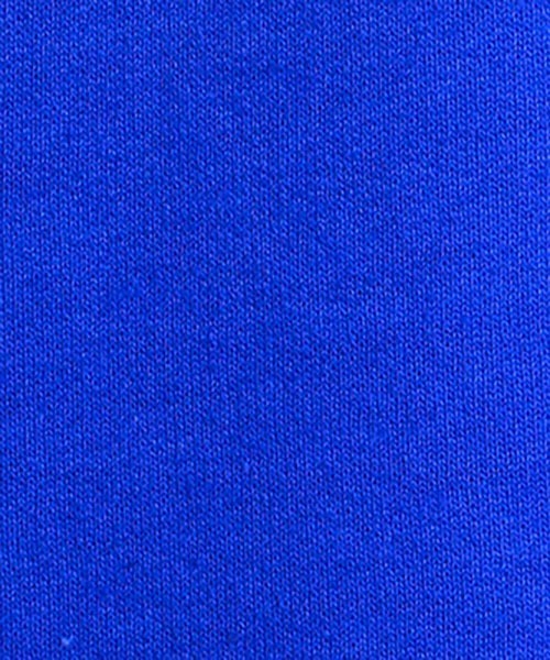 TENBOX（テンボックス）の「TENBOX / テンボックス：ONEANDONLY CREW：21B-ONEANDONLY-CREW[ARK]（スウェット・メンズ・ブラウン/ロイヤルブルー・L/XL/XXL）」の20枚目の写真