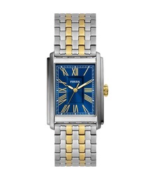 FOSSIL(tHbV)̃tHbV rv Y AiO XeX FS6010(AiOrv)