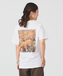 THE NORTH FACE | THE NORTH FACE / ショートスリーブ フラッシュドライ ピクセル プラント コットン Tシャツ / NT32549(Tシャツ/カットソー)