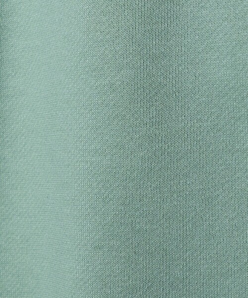 Steven Alan（スティーブンアラン）の「＜Steven Alan＞コンパクト スウェット プルオーバー（スウェット・レディース・グレー系/ライム/ブラック・FREE）」の22枚目の写真