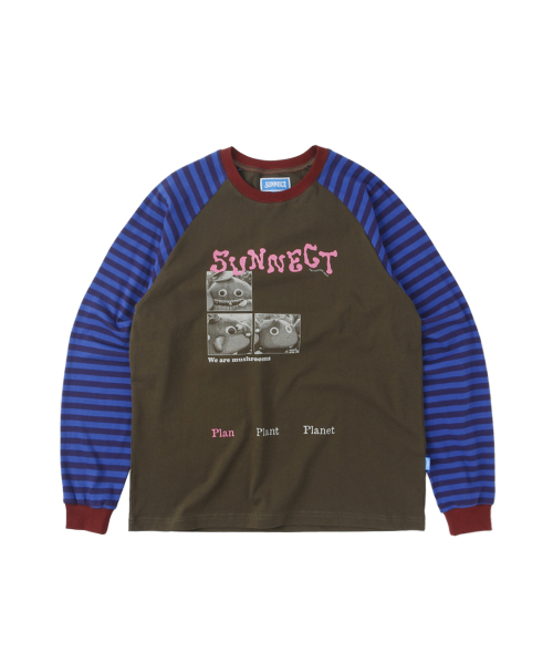 SUNNECT(ソネクト)の「W.A.M. Raglan LS Tee - Stripe(Tシャツ/カットソー・レディース・その他・1/2)」の1枚目の写真