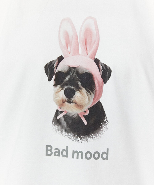 FREAK'S STORE(フリークスストア)の「PUBLUX/パブリュクス <機能性素材>Bad mood ドッグプリント Tシャツ 限定展開(Tシャツ/カットソー・レディース・ブラウン/ホワイト/ネイビー・MEDIUM/LARGE/SMALL)」の20枚目の写真